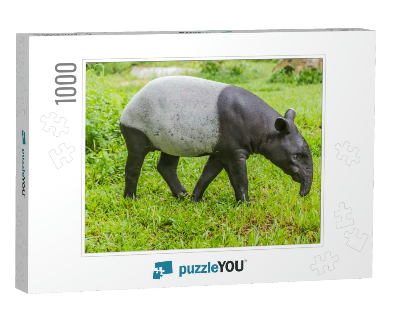 Tapir is a Mammal that Feeds on Large Plants. Tapiridae i... Jigsaw Puzzle with 1000 pieces