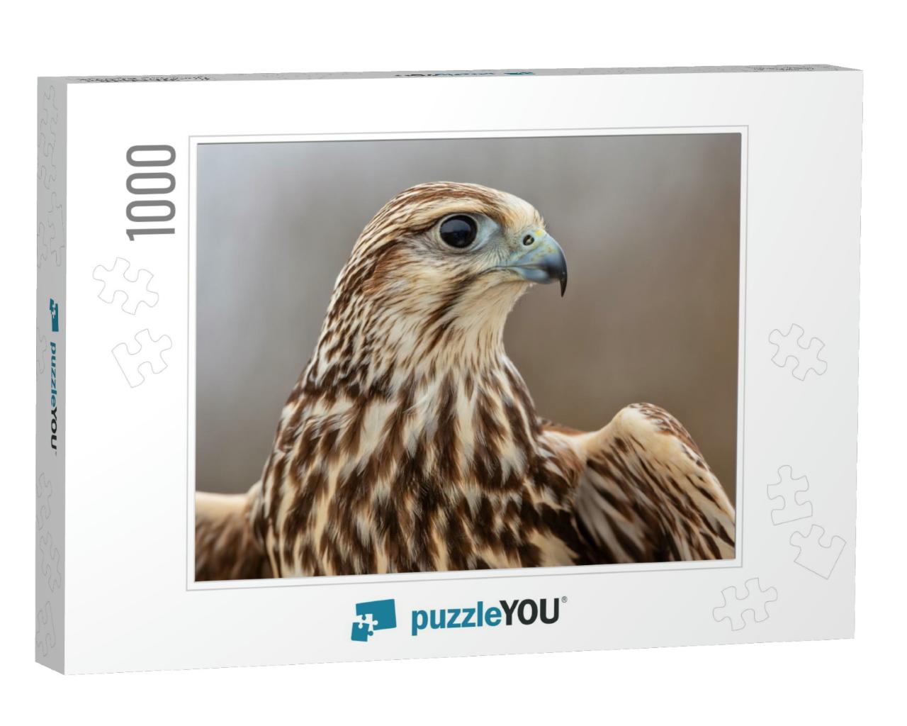 Saker Falcon Portrait, Majestic Saker Falcon, Beautiful F... Jigsaw Puzzle with 1000 pieces