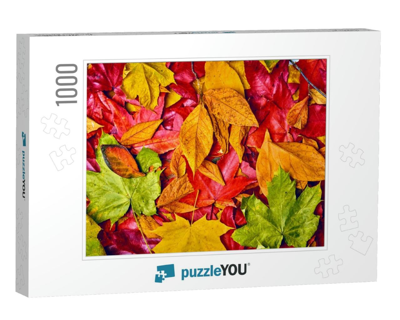 Background of Autumn Leaves. Autumn Background... Jigsaw Puzzle with 1000 pieces