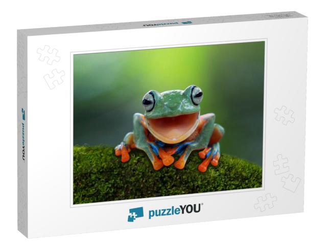 Tree Frog, Flying Frog Laughing, Animal Closeup... Jigsaw Puzzle