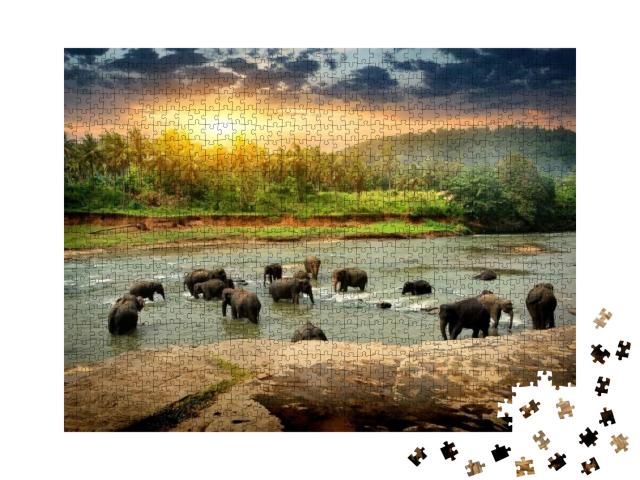 Herd of Elephants Bathing in the Jungle River of Sri Lank... Jigsaw Puzzle with 1000 pieces