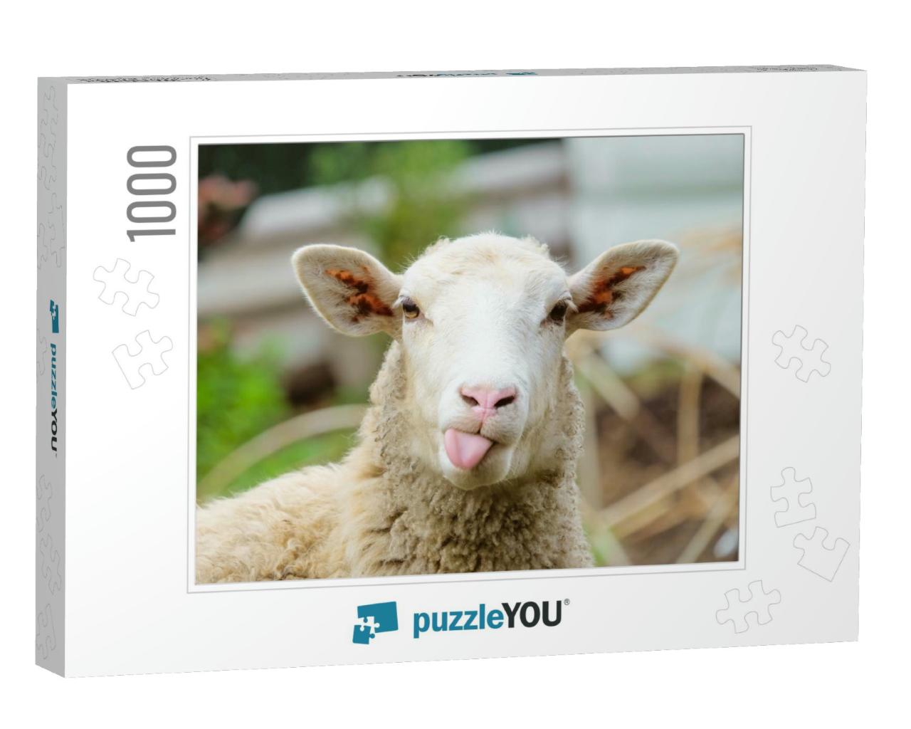 Funny Sheep. Portrait of Sheep Showing Tongue... Jigsaw Puzzle with 1000 pieces