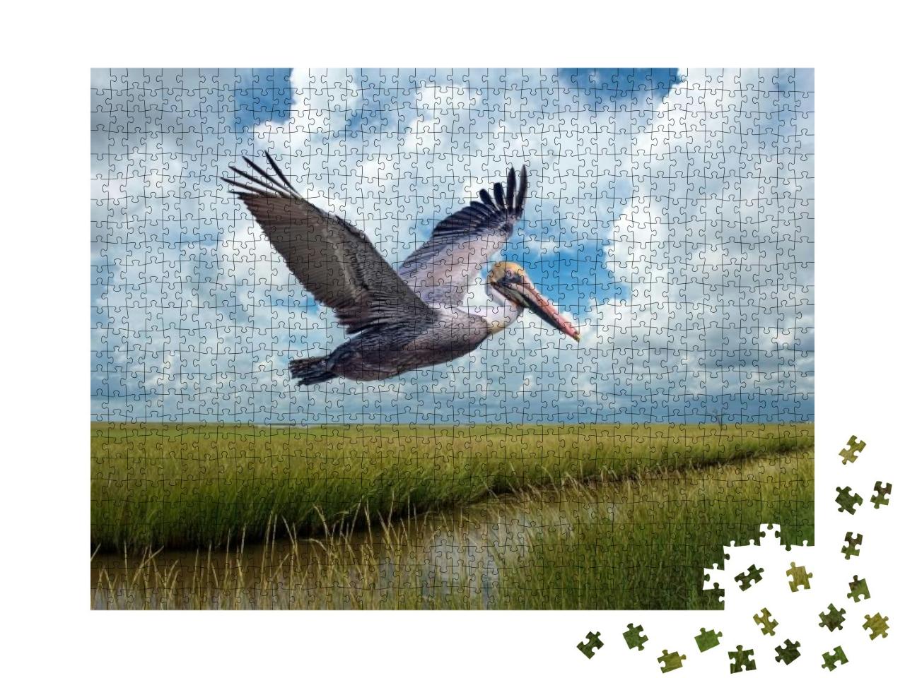 Brown Pelican in Flight Over Marshlands At Grand Isle Lou... Jigsaw Puzzle with 1000 pieces