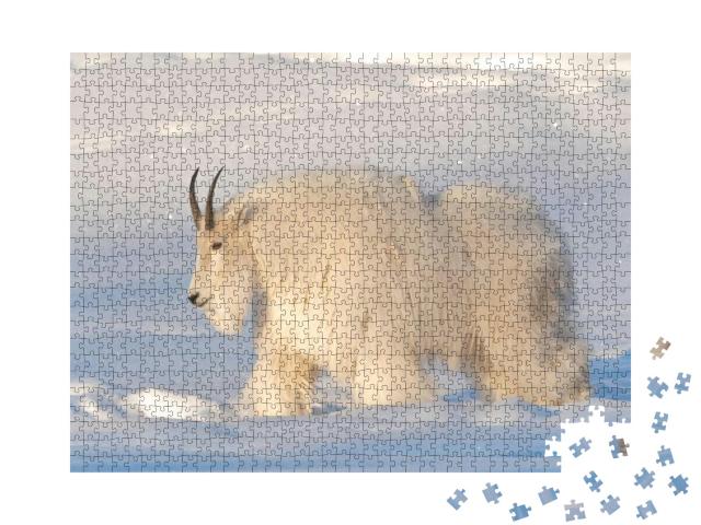 A White, Hairy Mountain Goat Seen in Northern Canada. Sid... Jigsaw Puzzle with 1000 pieces