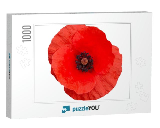 Bright Red Poppy Flower Isolated on White, Top View... Jigsaw Puzzle with 1000 pieces
