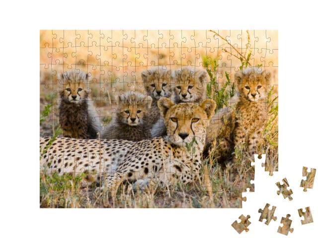 Mother Cheetah & Her Cubs in the Savannah. Kenya. Tanzani... Jigsaw Puzzle with 200 pieces