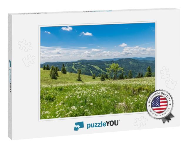 Beautiful Black Forest... Jigsaw Puzzle