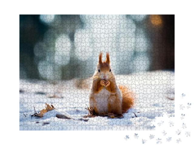 Cute Red Squirrel Eats a Nut in Winter Scene with Nice Bl... Jigsaw Puzzle with 1000 pieces