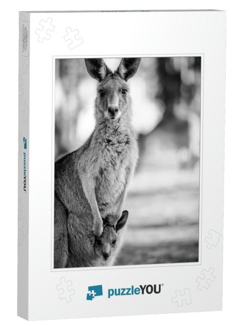 Black & White Close Up Shot of a Kangaroo with Her Baby J... Jigsaw Puzzle