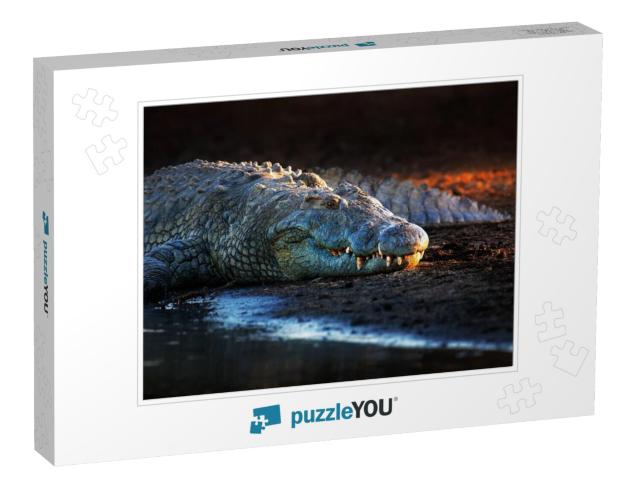 Nile Crocodile Crocodylus Niloticus on Riverbank with Las... Jigsaw Puzzle