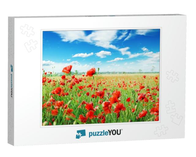 Poppies on Green Field... Jigsaw Puzzle