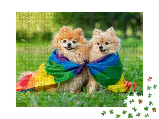 Two Happy Friends Pomeranian Spitz Dogs Lying on T... Jigsaw Puzzle with 1000 pieces