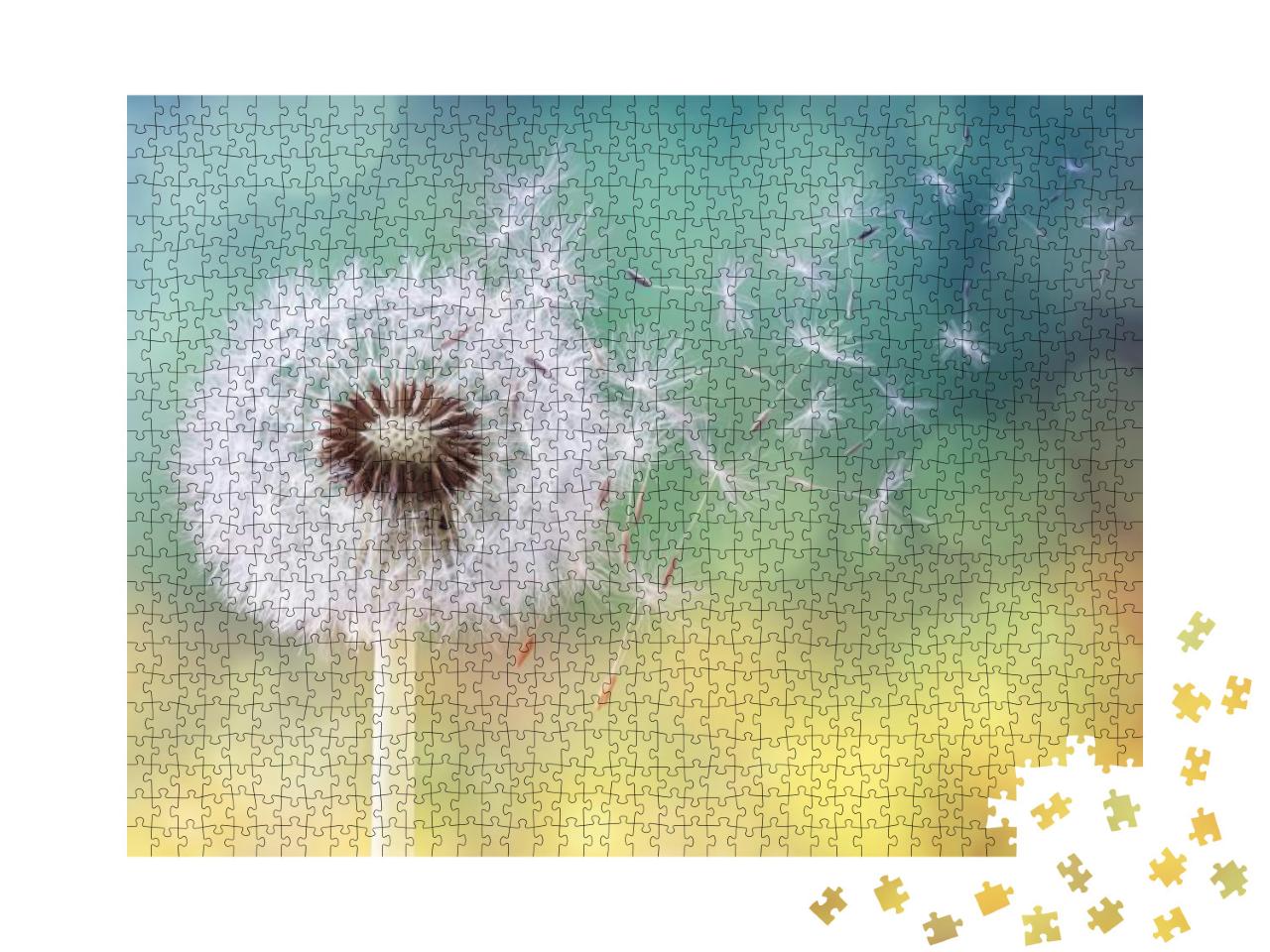 Dandelion Seeds in the Sunlight Blowing Away Across a Fre... Jigsaw Puzzle with 1000 pieces
