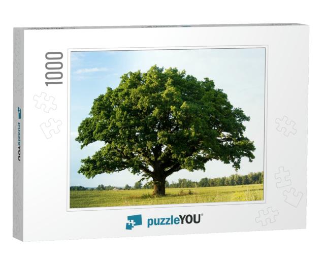 Lonely Green Oak Tree in the Field... Jigsaw Puzzle with 1000 pieces