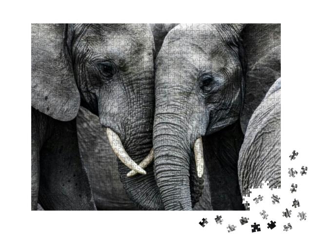 Elephants... Jigsaw Puzzle with 1000 pieces
