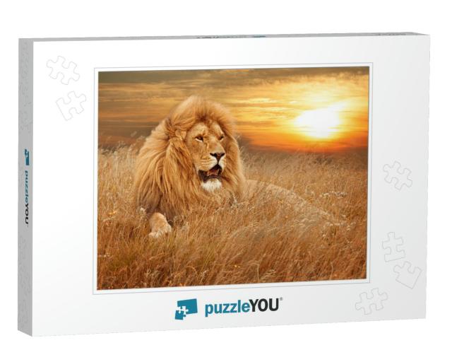 Picture of Lions in Grass... Jigsaw Puzzle