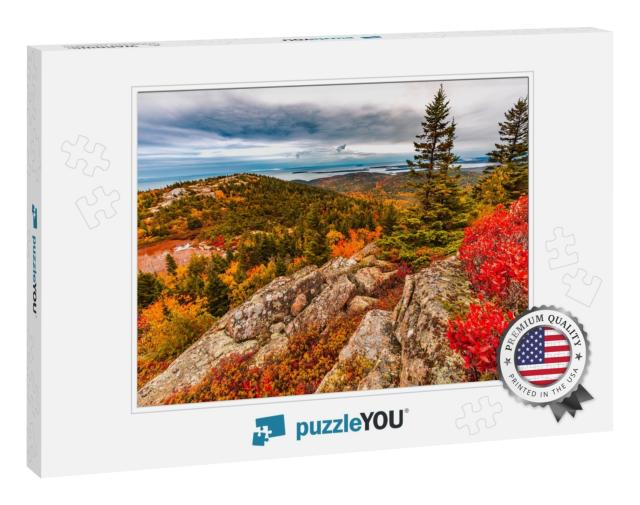 Autumn Fall Colors in Acadia National Park Island in Main... Jigsaw Puzzle