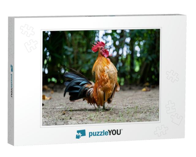 Rooster Crows. Big Rooster Crowing on the Ground of Farm... Jigsaw Puzzle