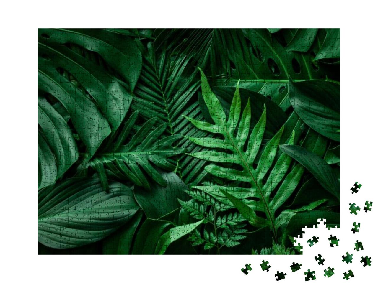 Closeup Nature View of Green Leaf & Palms Background. Fla... Jigsaw Puzzle with 1000 pieces