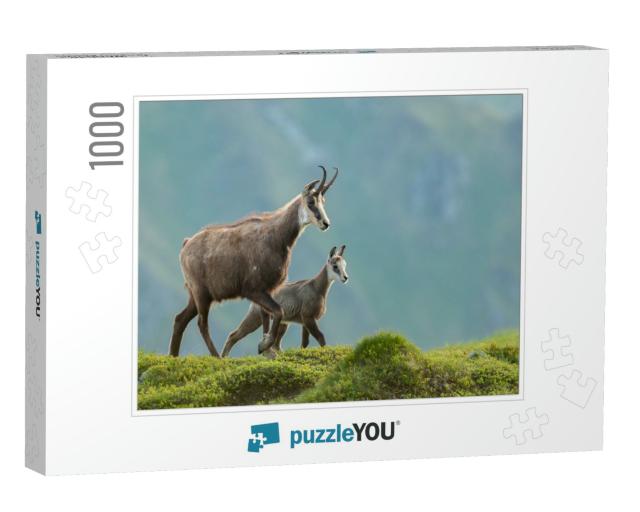 Chamois Mom with Baby Walking on the Mountain Meadow, Rup... Jigsaw Puzzle with 1000 pieces