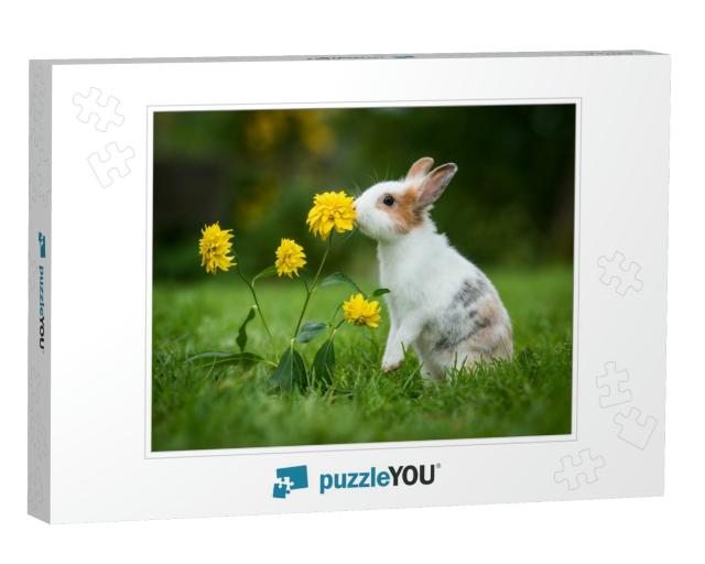 Little Rabbit Smelling a Flower in the Garden... Jigsaw Puzzle
