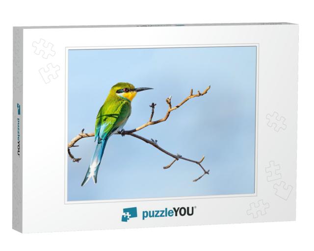 Swallow-Tailed Bee-Eater Merops Hirundineus Perched on Ac... Jigsaw Puzzle