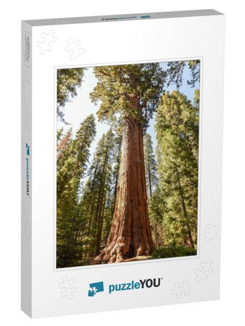 General Sherman Tree in Sequoia National Park, California... Jigsaw Puzzle