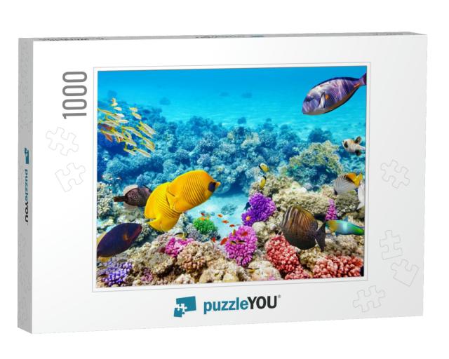 Wonderful & Beautiful Underwater World with Corals & Trop... Jigsaw Puzzle with 1000 pieces