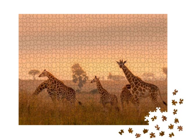 A Tower Rothschilds Giraffe Giraffa Camelopardalis Rothsc... Jigsaw Puzzle with 1000 pieces