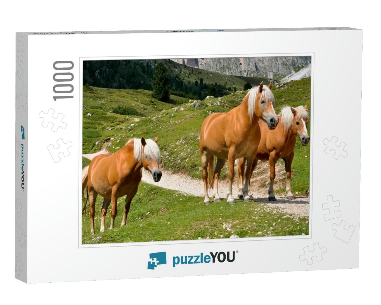 Haflinger Horses in a Group of Three with White Manes on... Jigsaw Puzzle with 1000 pieces
