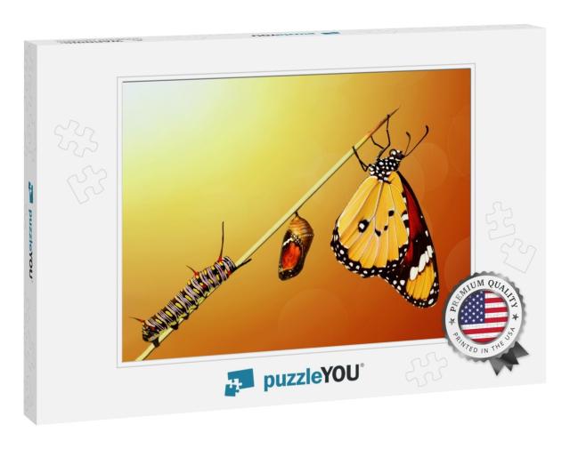 Amazing Moment, Monarch Butterfly, Pupae & Cocoons Are Su... Jigsaw Puzzle