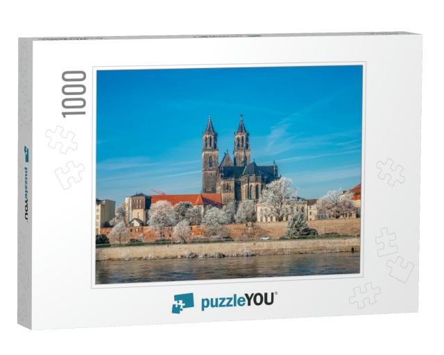 Magdeburg Historical Downtown in Winter with Icy Trees &... Jigsaw Puzzle with 1000 pieces
