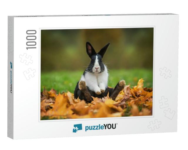 Little Funny Rabbit Sitting in Leaves in Autumn... Jigsaw Puzzle with 1000 pieces