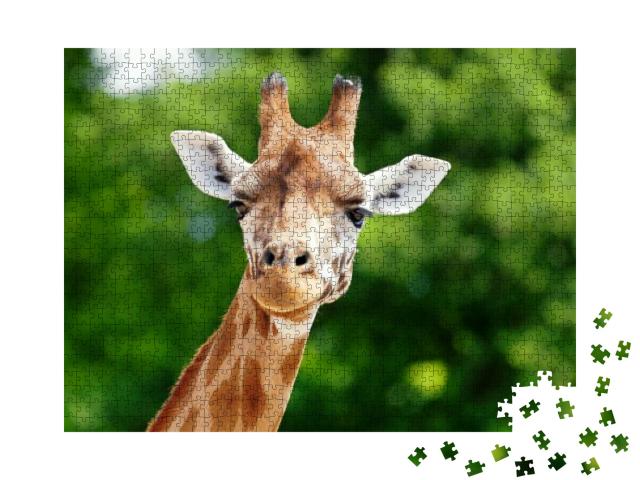 Close-Up of a Giraffe in Front of Some Green Trees, Looki... Jigsaw Puzzle with 1000 pieces