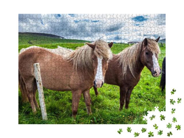 Herd of Beautiful Horses Grazes in the Green Tall Grass o... Jigsaw Puzzle with 1000 pieces