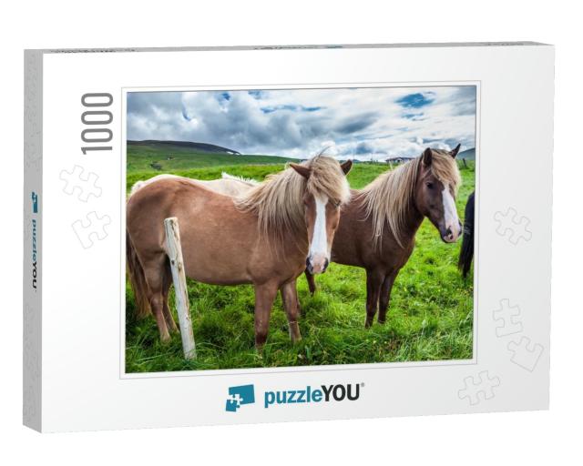 Herd of Beautiful Horses Grazes in the Green Tall Grass o... Jigsaw Puzzle with 1000 pieces