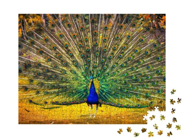 Blue Peacock Showing Its Feathers. Beautiful Bird Backgro... Jigsaw Puzzle with 1000 pieces