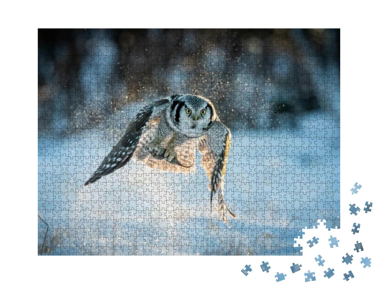 Northern Hawk-Owl Surnia Ulula Catching Mouse with Negati... Jigsaw Puzzle with 1000 pieces