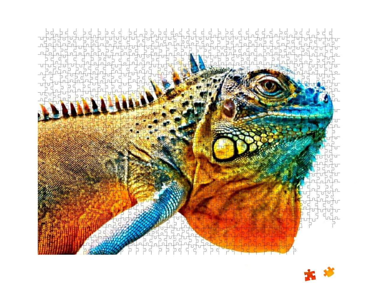 Colorful Iguana in Detail Isolated on White Background... Jigsaw Puzzle with 1000 pieces