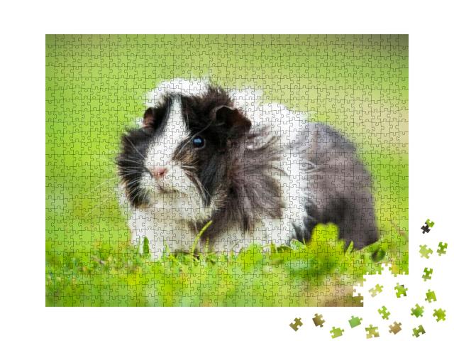 Guinea Pig Sitting Outdoors in Summer... Jigsaw Puzzle with 1000 pieces