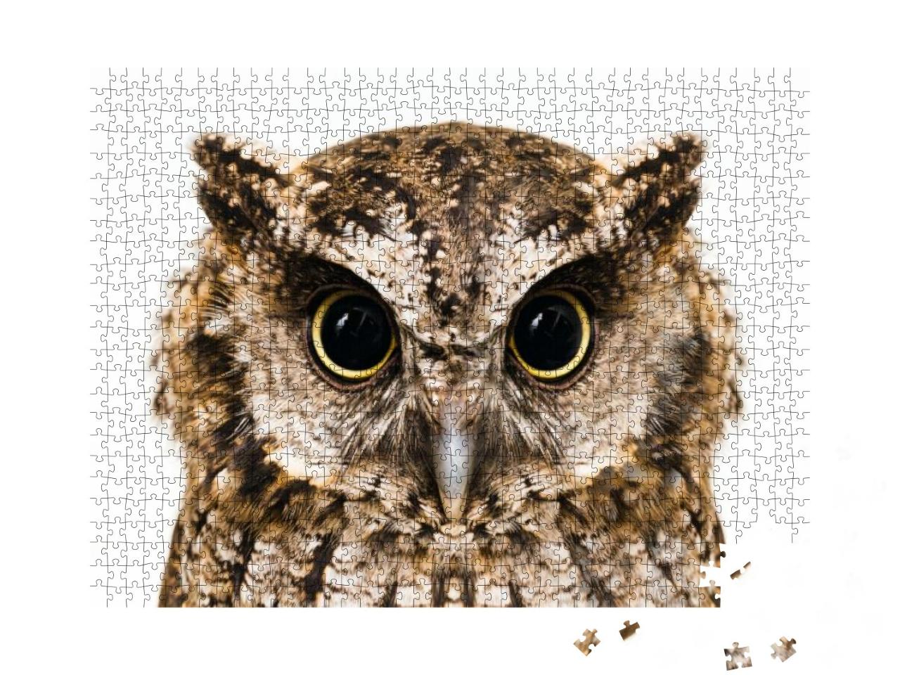 Photo of an Owl in Macro Photography, High Resolution Pho... Jigsaw Puzzle with 1000 pieces
