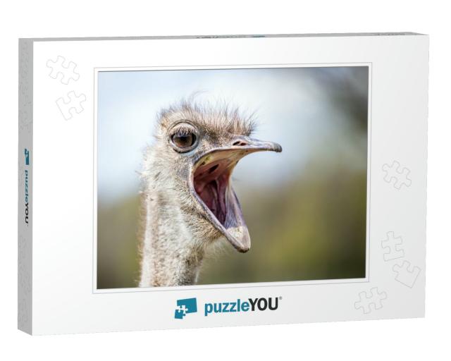 Ostrich with Mouth Wide Open as If Shouting... Jigsaw Puzzle
