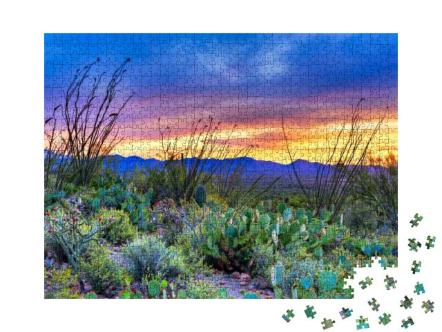 Sunset in Saguaro National Park Near Tucson, Arizona... Jigsaw Puzzle with 1000 pieces