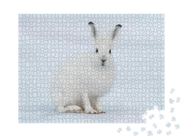 White Hare Lepus Timidus. Hare Sits on the Snow in the Tu... Jigsaw Puzzle with 1000 pieces