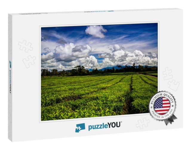Panoramic View to Tea Plantation At Waga Valley Near Moun... Jigsaw Puzzle