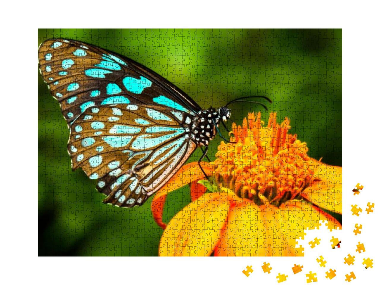 Blue Butterfly Fly in Morning Nature... Jigsaw Puzzle with 1000 pieces