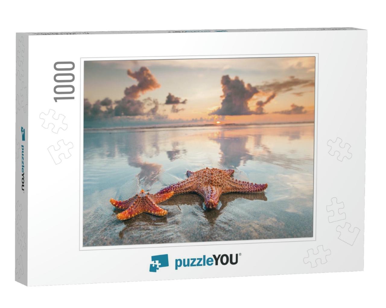 Two Starfish on Sea Beach At Sunset, Bali, Seminyak, Doub... Jigsaw Puzzle with 1000 pieces