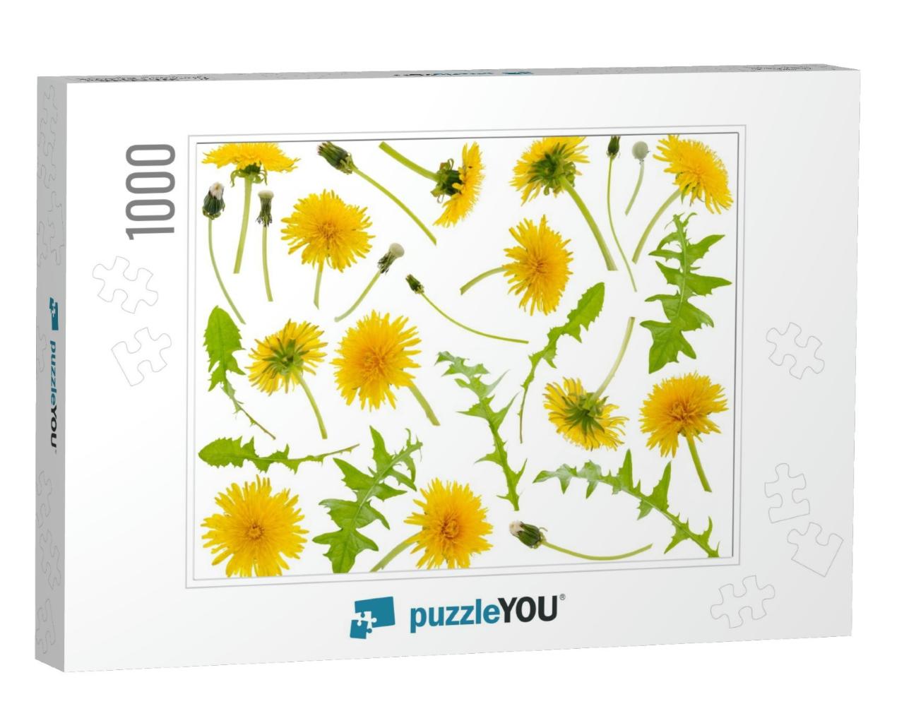 Many Yellow Dandelions & Dandelions Leaves At Various Ang... Jigsaw Puzzle with 1000 pieces