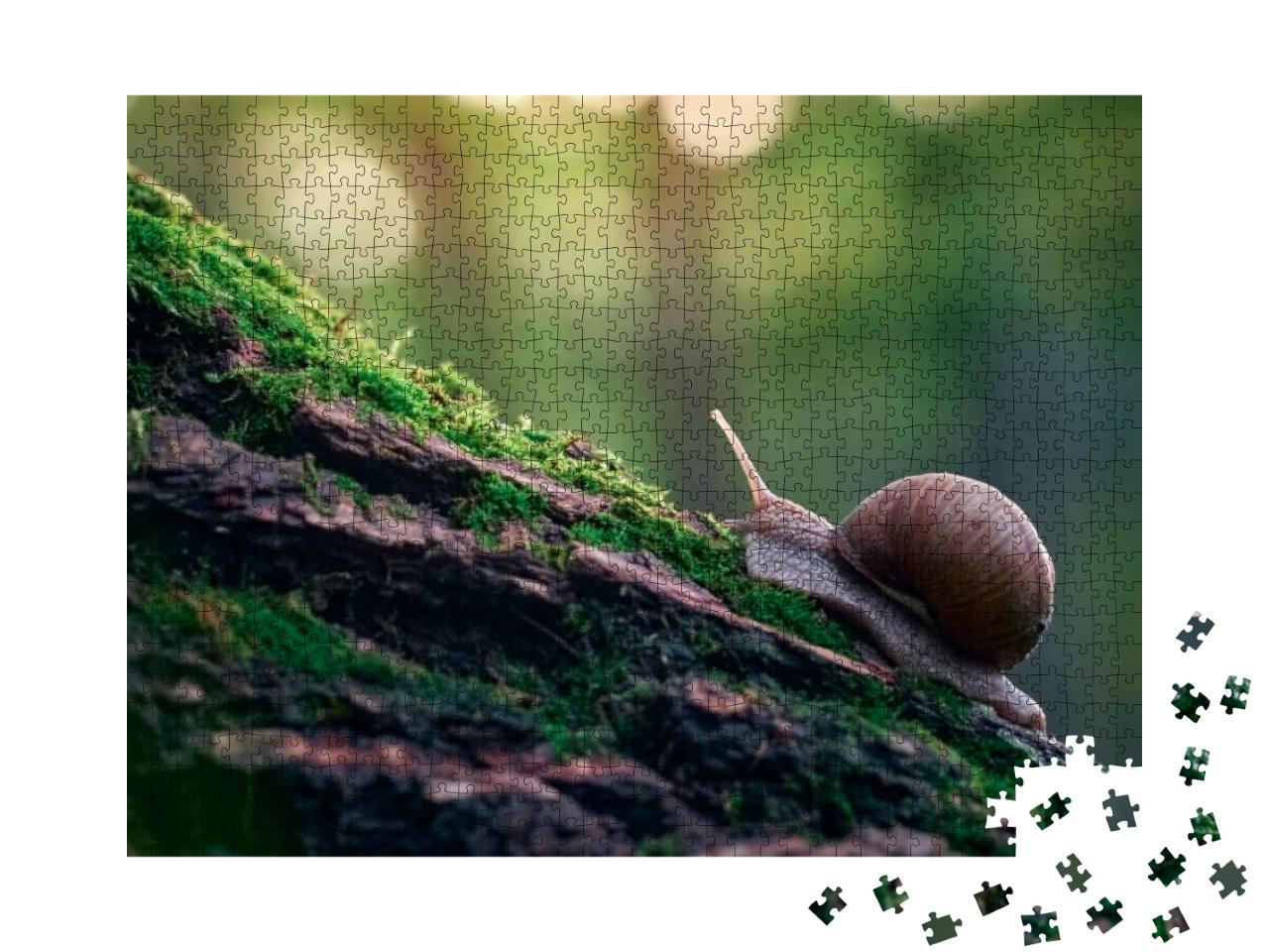 A Slow Grape Snail Crawls Up the Bark of a Tree Overgrown... Jigsaw Puzzle with 1000 pieces