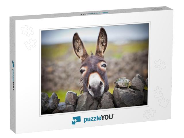 A Nice Donkey Under the Rain. Aran Islands, Ireland... Jigsaw Puzzle